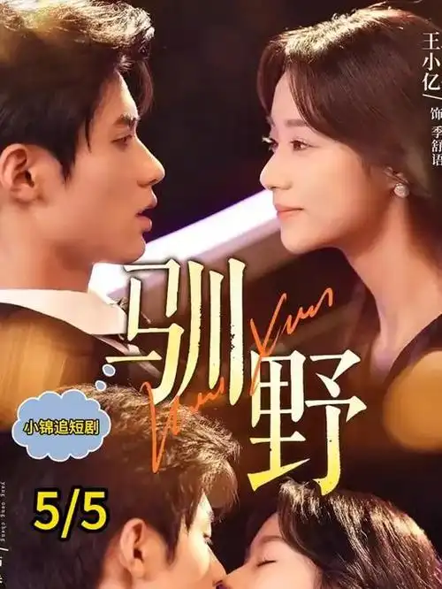亚洲免费网站年代剧 旧城故事 海报